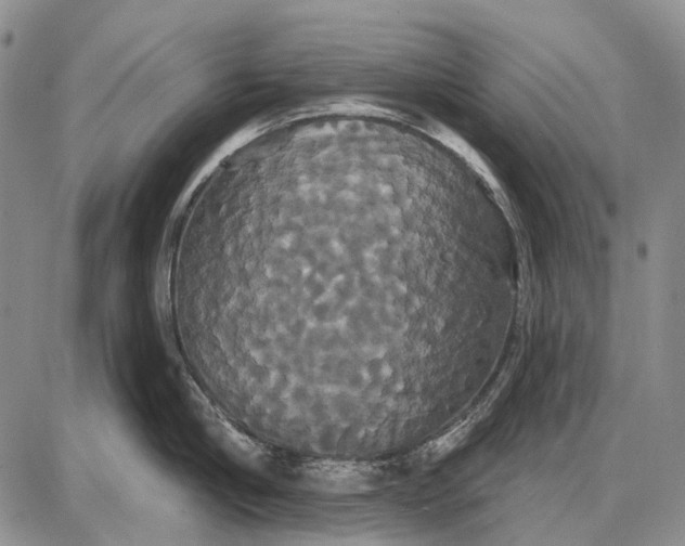 X0000087700910200705181816