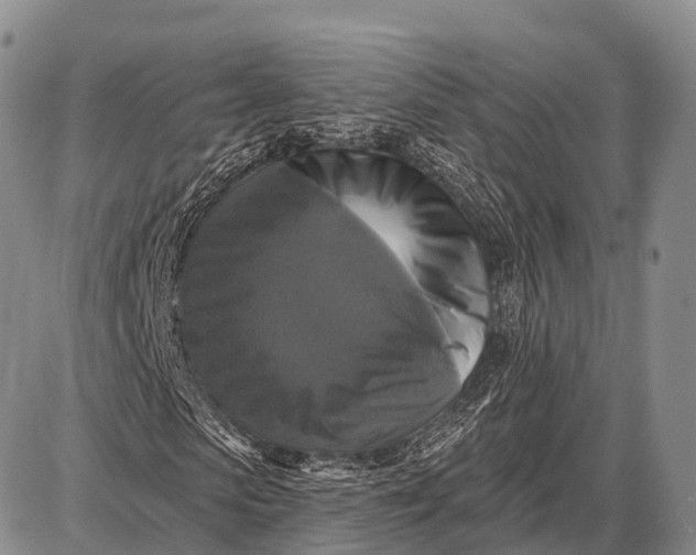 X0000087700913200705181816