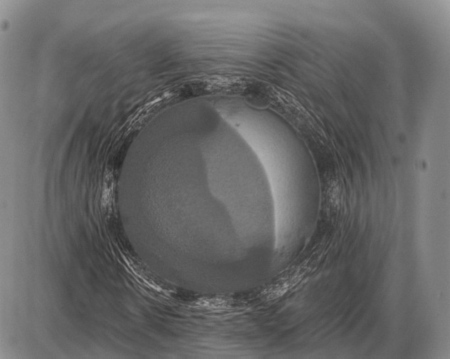 X0000087700914200705181816