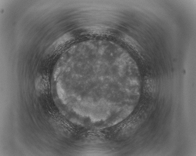 X0000087700918200705181816