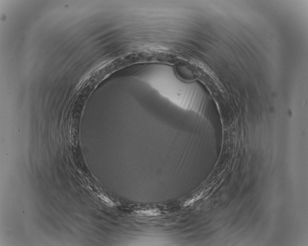 X0000087700919200705181816