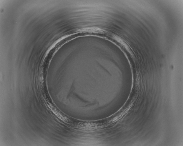 X0000087700923200705181816
