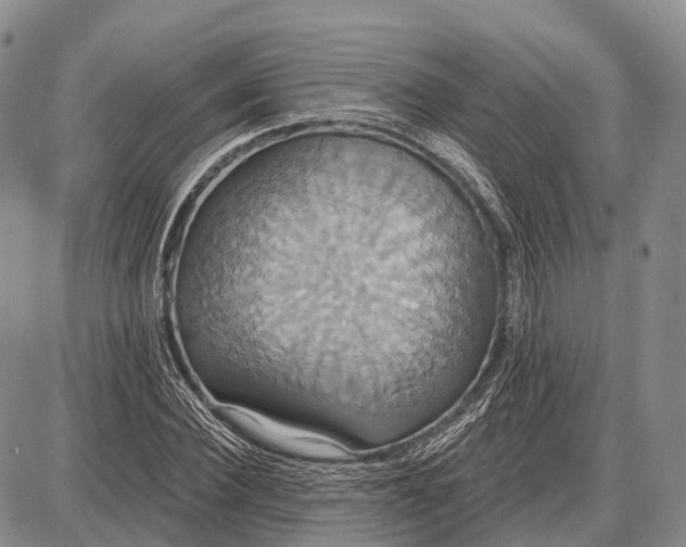 X0000087700924200705181816