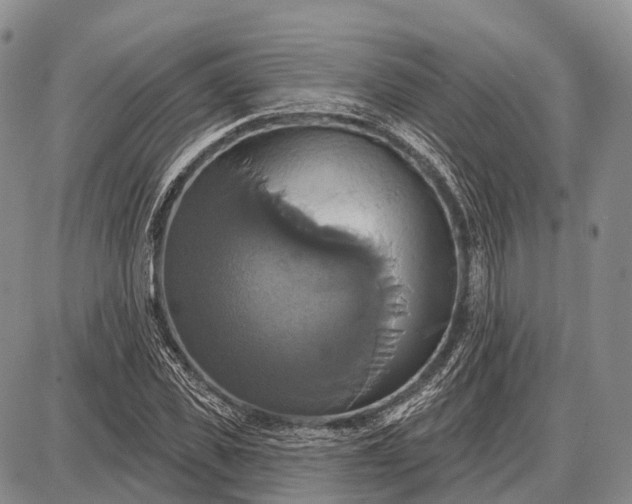 X0000087700925200705181816