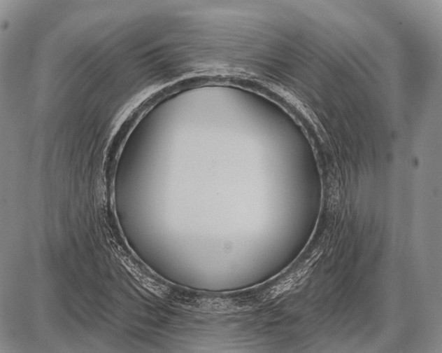 X0000087700927200705181816
