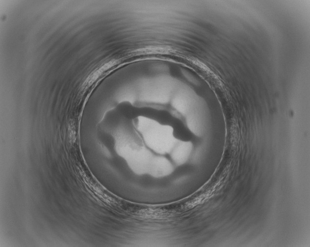 X0000087700929200705181816