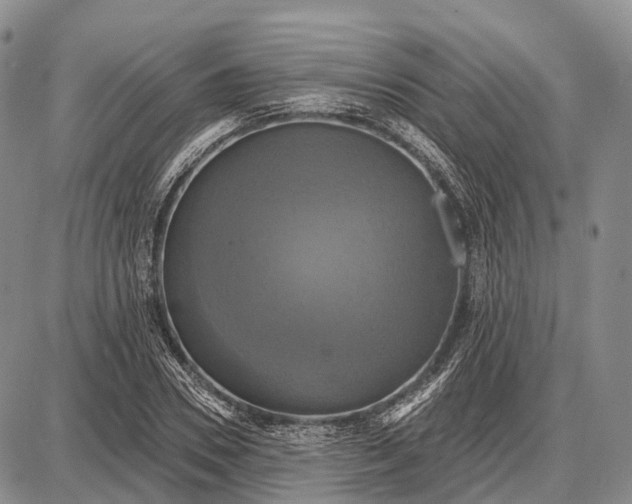 X0000087700930200705181816