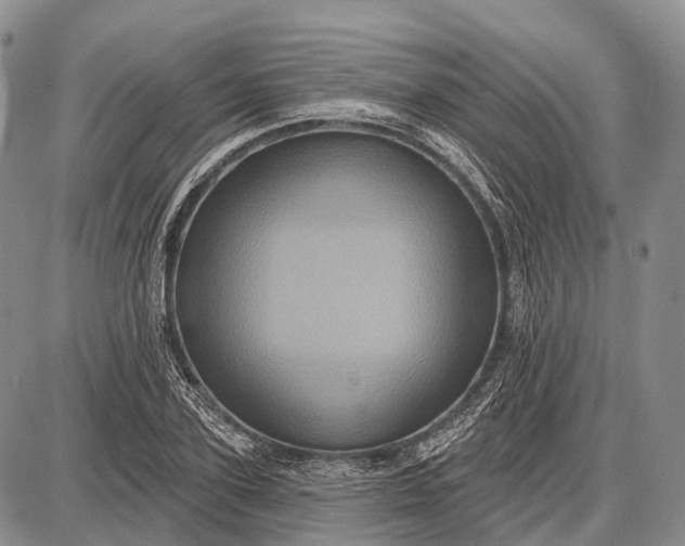 X0000087700931200705181816