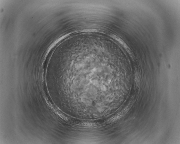 X0000087700933200705181816