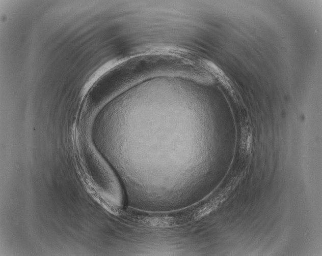 X0000087700936200705181816