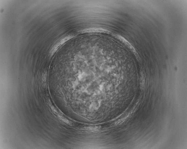 X0000087700937200705181816