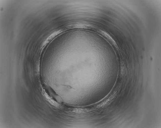 X0000087700938200705181816