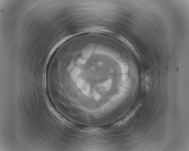 X0000087700939200705181816