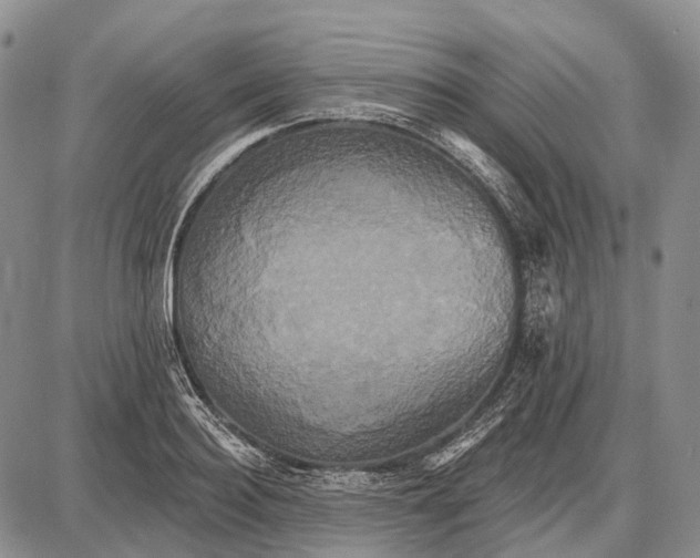 X0000087700940200705181816