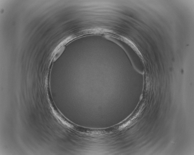 X0000087700946200705181816