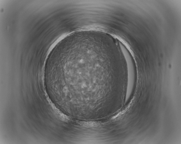 X0000087700949200705181816