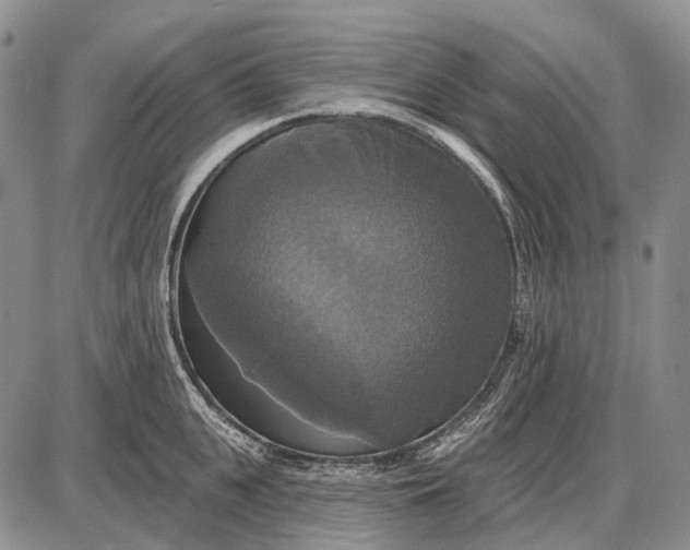 X0000087700951200705181816