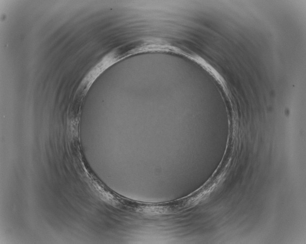 X0000087700953200705181816
