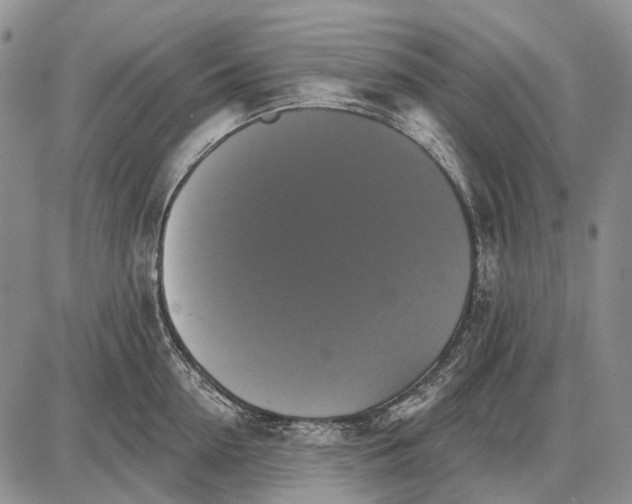 X0000087700954200705181816