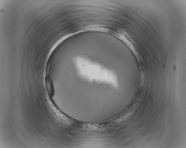 X0000087700955200705181816
