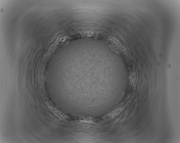 X0000087700961200705181816