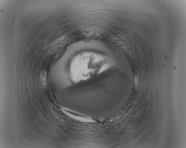 X0000087700963200705181815
