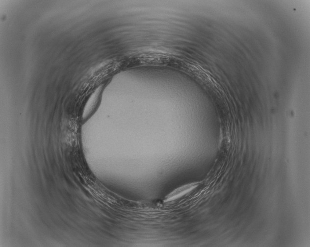 X0000087700964200705181815