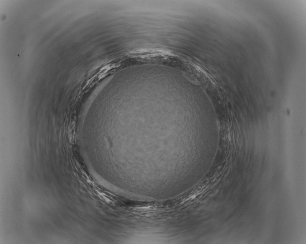 X0000087700965200705181815