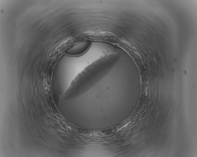 X0000087700966200705181815
