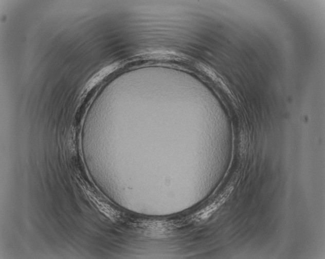 X0000087700970200705181815