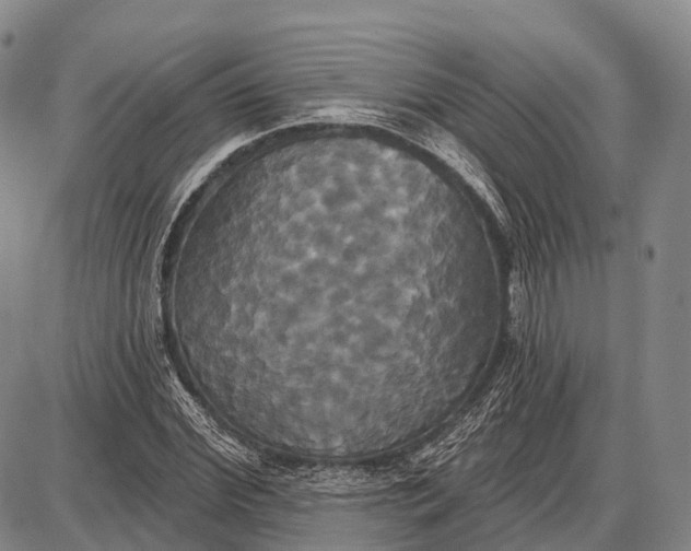 X0000087700972200705181815