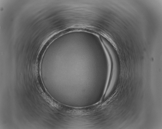 X0000087700976200705181815