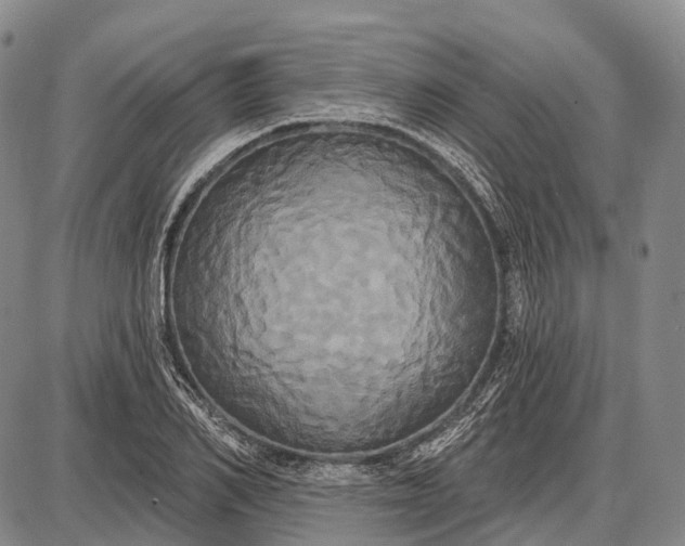 X0000087700982200705181815