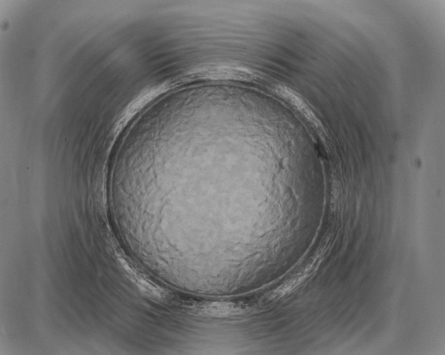 X0000087700986200705181815