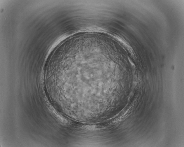 X0000087700990200705181815