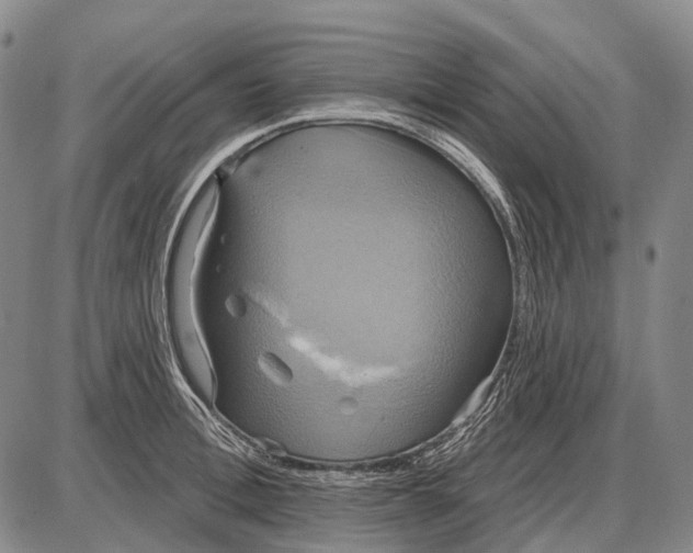 X0000087700996200705181815