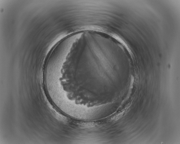 X0000087700999200705181815