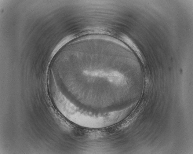 X0000087701002200705181815