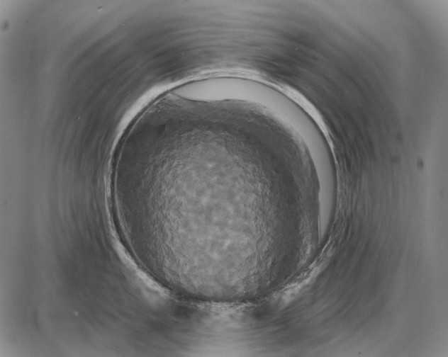 X0000087701005200705181815