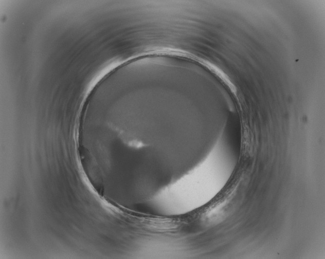 X0000087701007200705181815