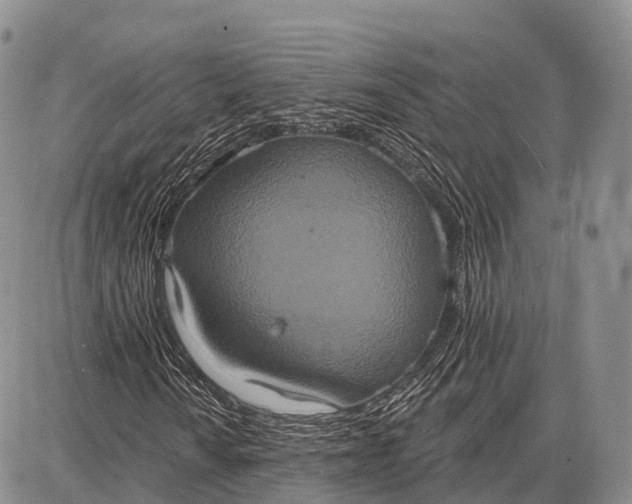 X0000087701010200705181814