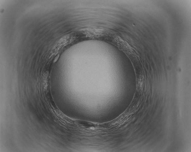X0000087701012200705181814