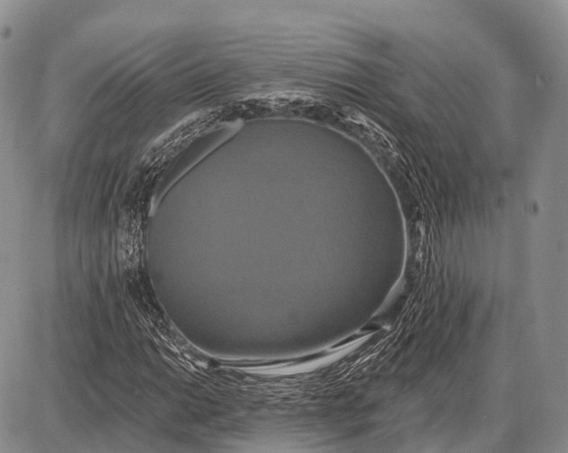 X0000087701014200705181814