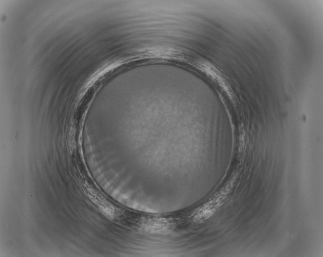X0000087701019200705181814