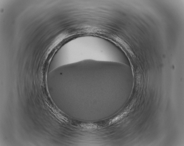 X0000087701023200705181814
