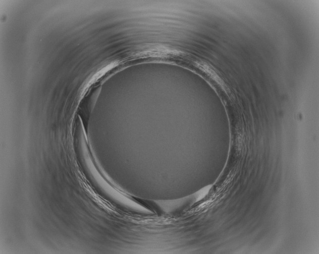 X0000087701026200705181814