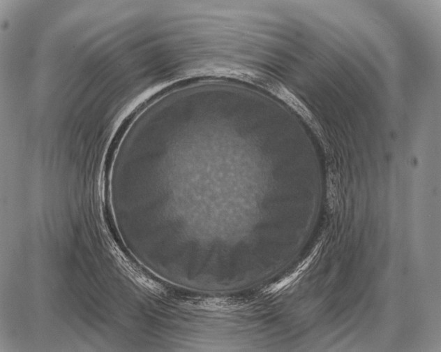 X0000087701028200705181814
