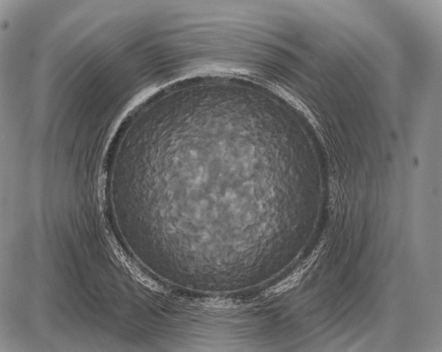 X0000087701029200705181814