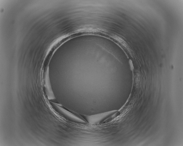 X0000087701030200705181814