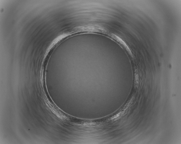 X0000087701035200705181814